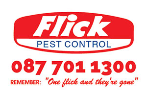 captive-conversations-clients-flick